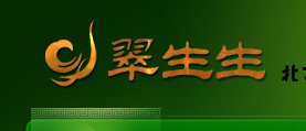 翠生生珠寶有限公司網(wǎng)站建設 網(wǎng)站設計