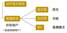 用戶賬號(hào)分類(lèi)及各角色權(quán)益